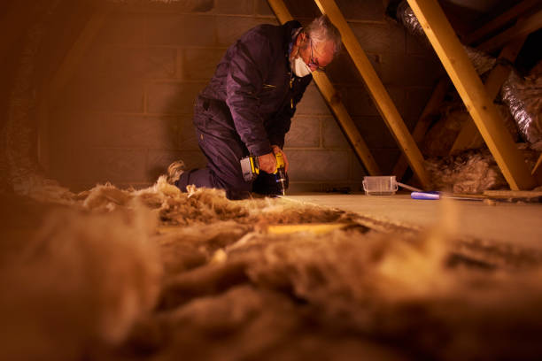 Best Attic Insulation Installation  in Frankfort, IL